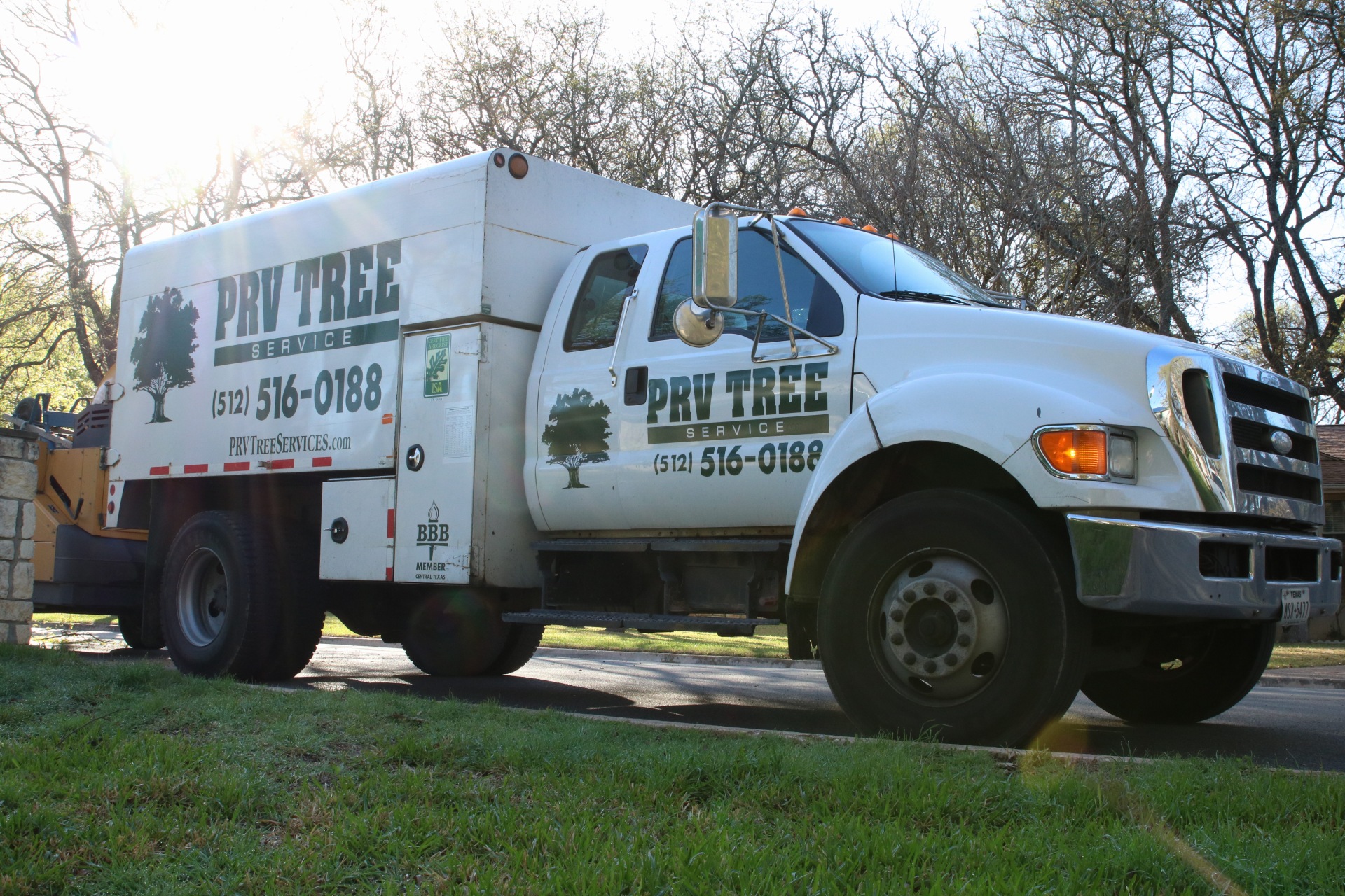 Tree Trimming Service Williamson County
