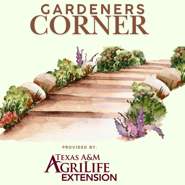 Gardeners corner